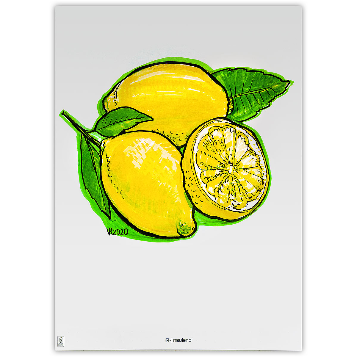Neuland BigOne® sada No.11 Lemon Tree, klínový hrot