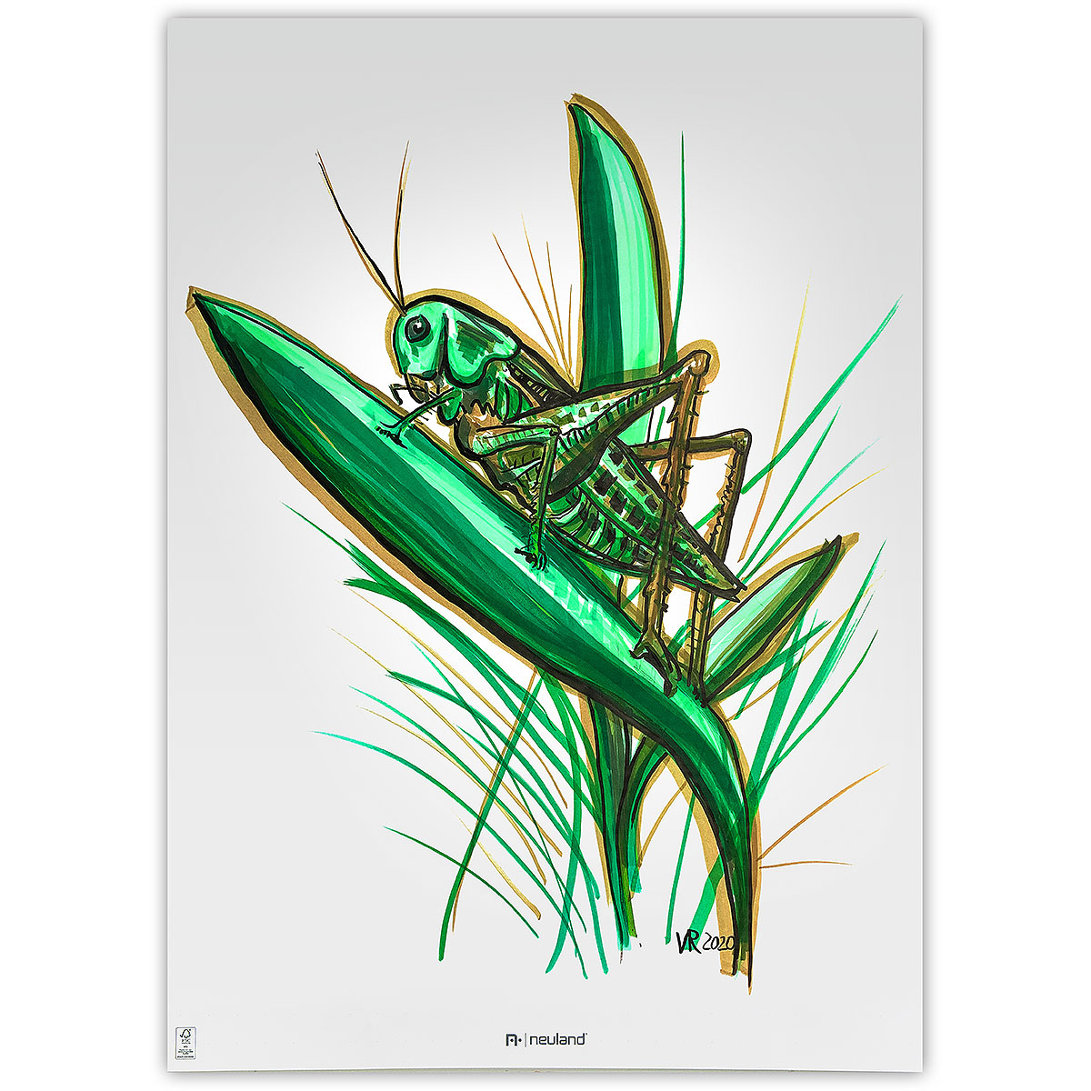 Neuland BigOne® sada No.12 Back to green, klínový hrot